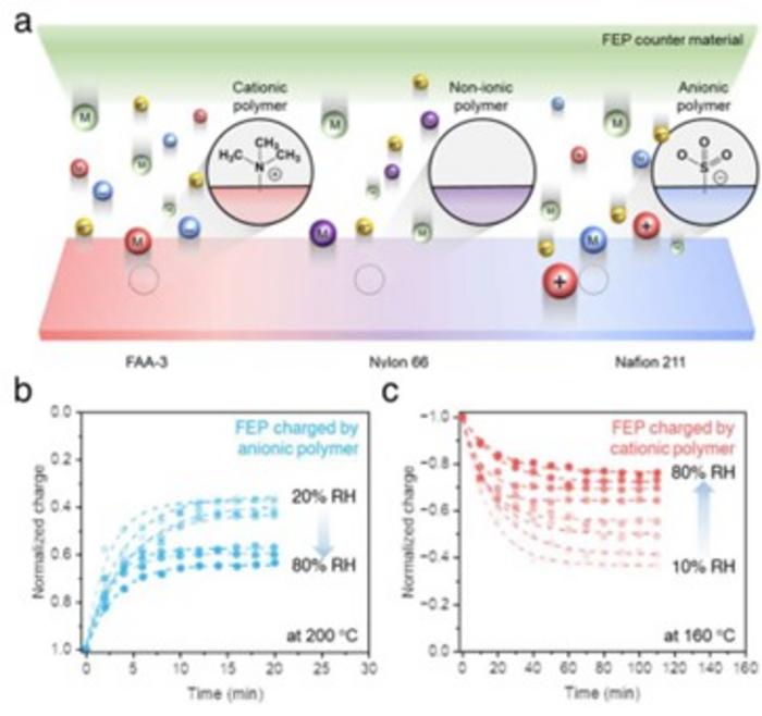 Schematic illustration