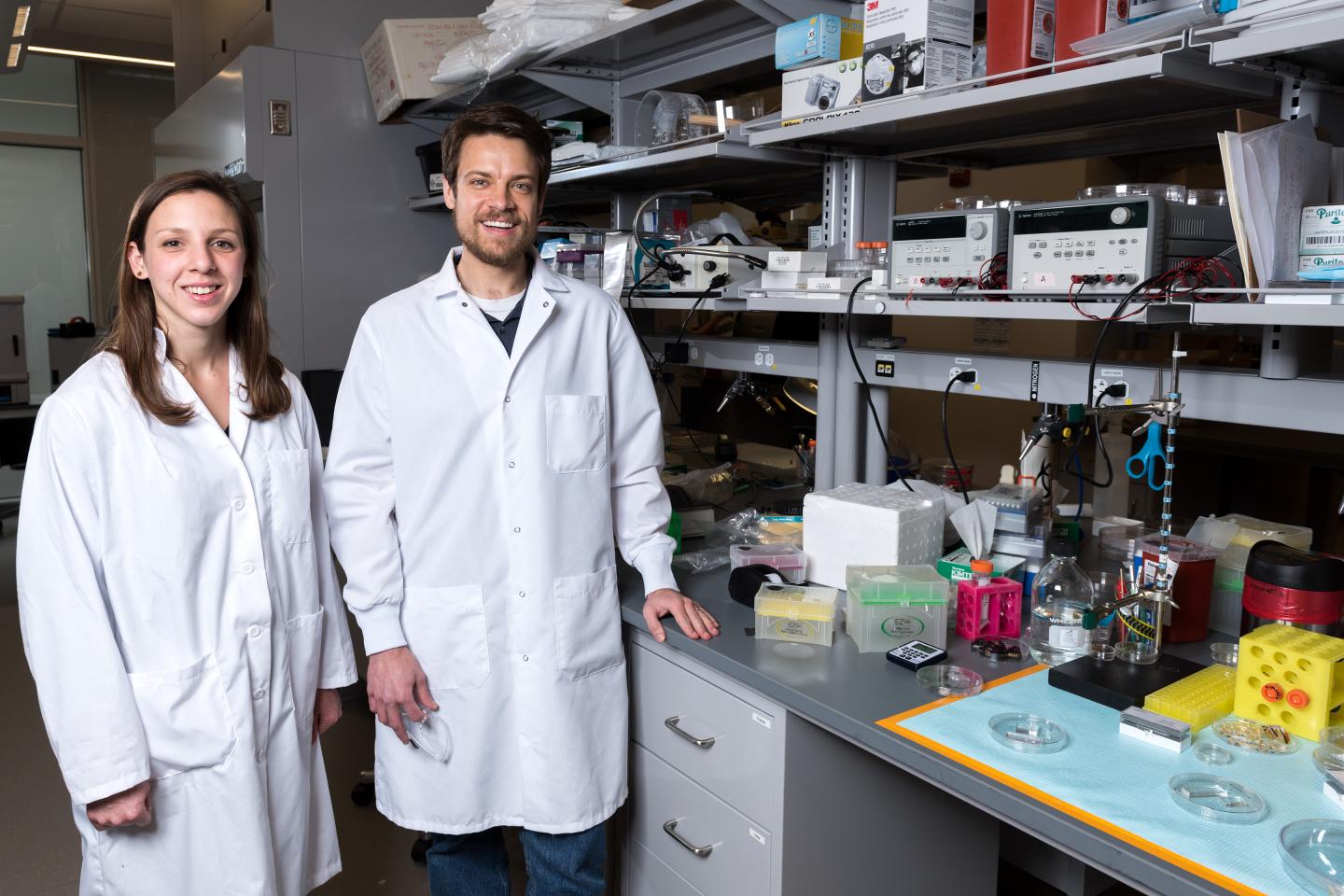 White Blood Cell Research