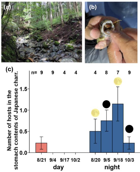 Supplementary image 3