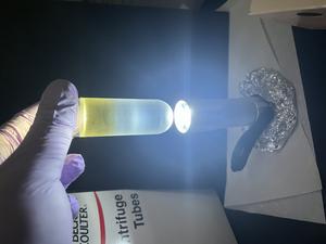 Virus purification