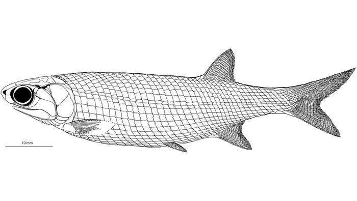 Reconstruction
