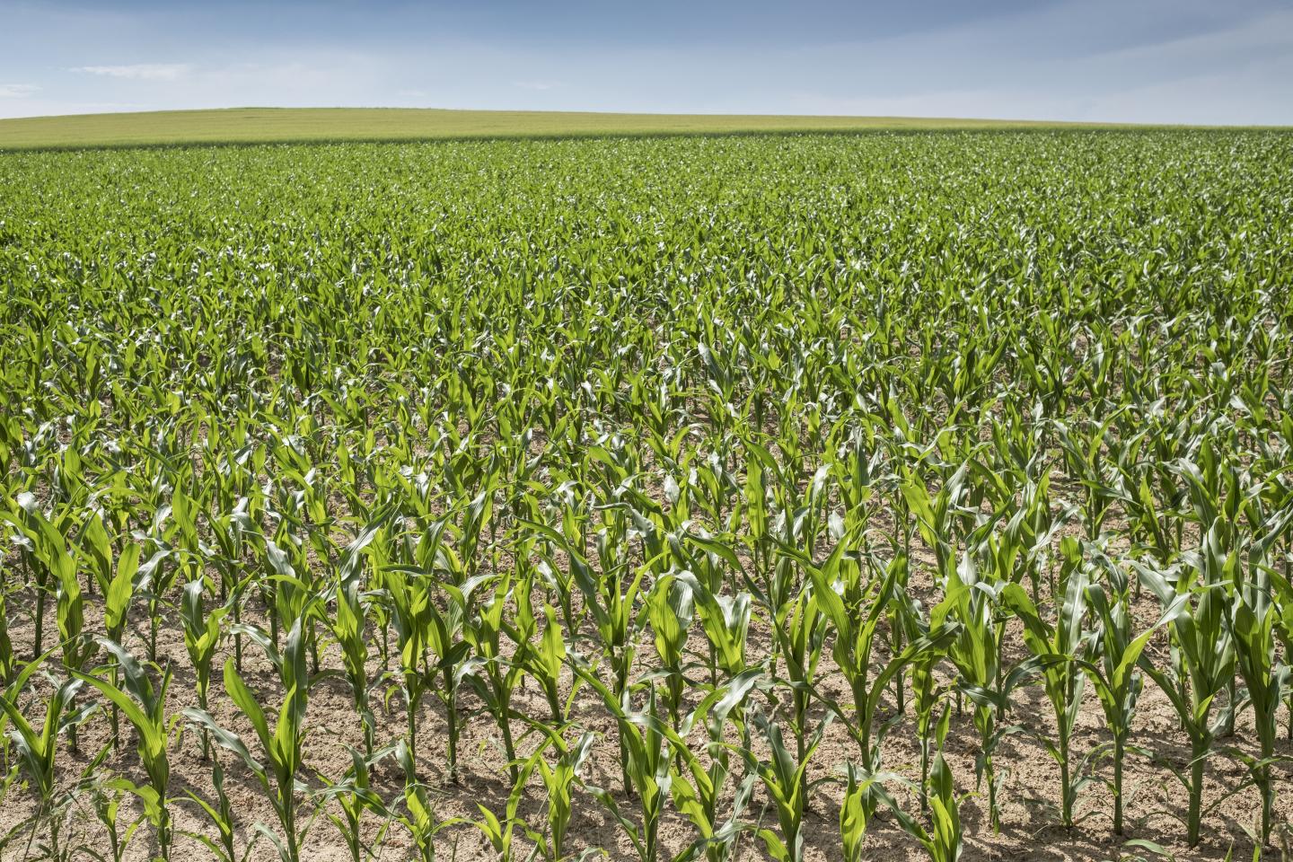 EU outsourcing environmental damage