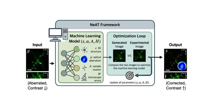 AI Computation Enables Clearer Views of the Deep Brain, Bypassing the Need for Expensive Equipment​