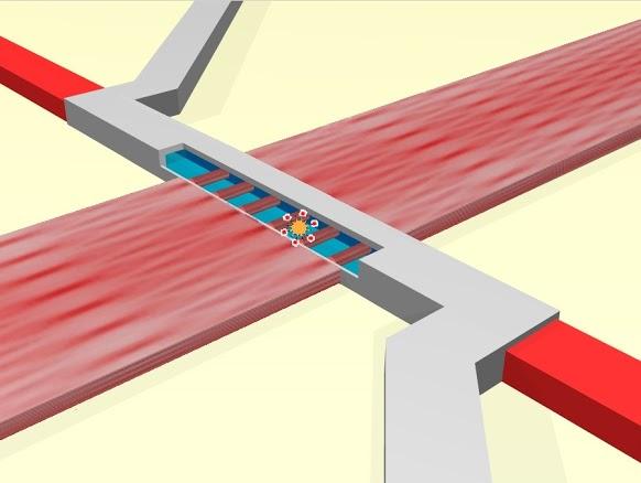 Diagram of Optofluidic Chip