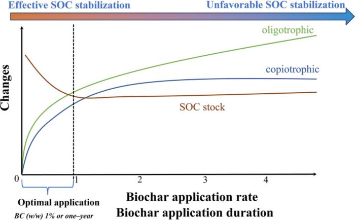 Microbial-mediated soil organic carbon sequestration under biochar application in Chinese agricultural soils