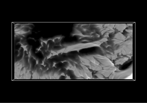 3-D Magnetic Fields around the Light Bridge