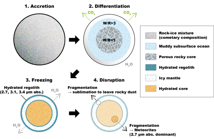 Formation and evolution of C-type asteroids