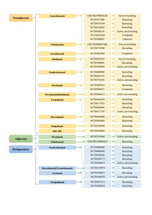 Registered clinical trials for immunotherapy in esophageal cancer