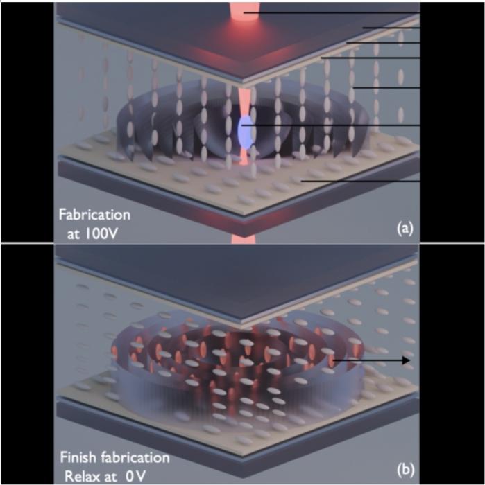 Figure 1 | Fabricating a continuous-phase liquid crystal Fresnel zone plate by femtosecond-laser 3D printing.