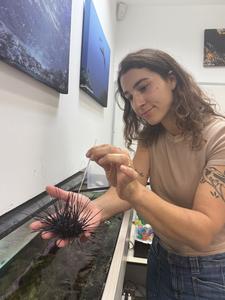 Mai Bonomo holding sea urchin & swabbing it.