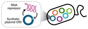 Synthetic Origin of Replication