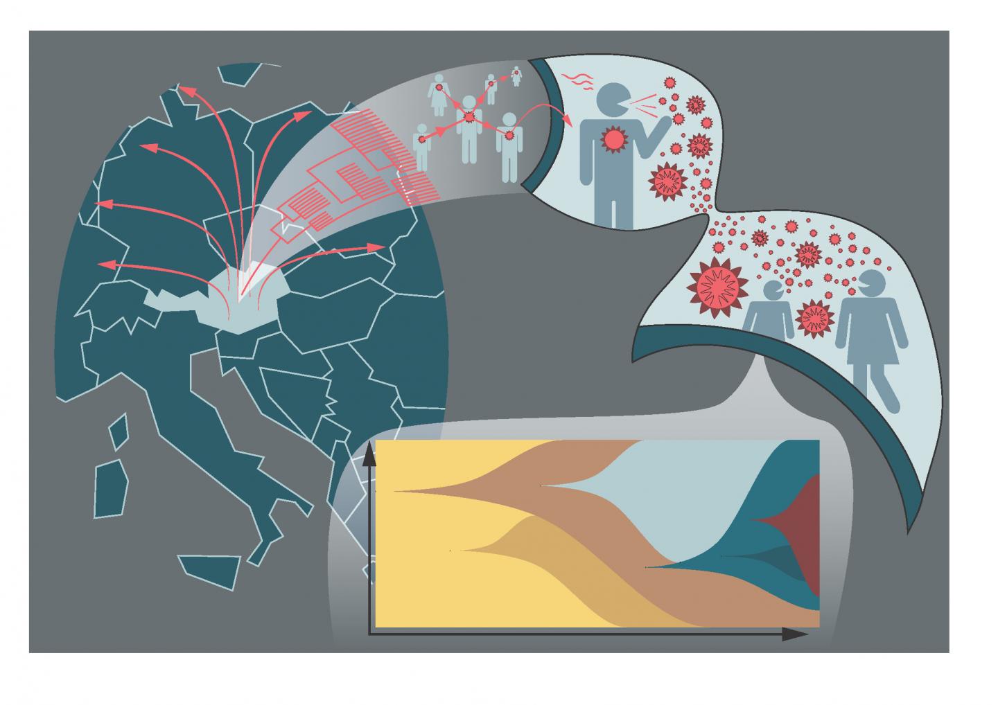 Illustration: Graphical abstract