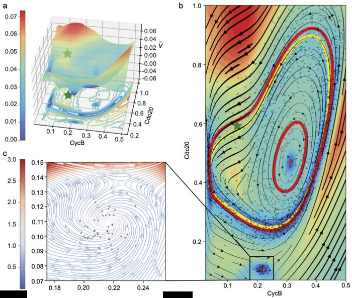 Dimensionality reduction of high-dimensional systems