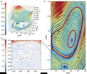 Dimensionality reduction of high-dimensional systems