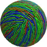 Quadripolar Tennis Ball Structure