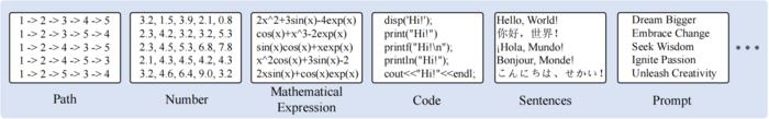 Figure 3 : Populations represented in natural language, such as paths, numbers, mathematical expressions, code, sentences, and prompts.