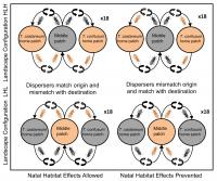 Diagram Of Experiment That Showed Early Life Experiences of Individuals Can Impact Distribution of S