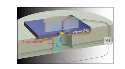 Nanopore Schematic