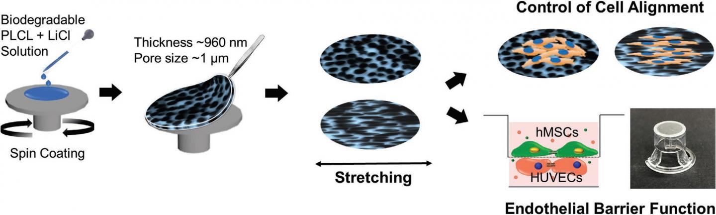 Overall Schematic Illustration
