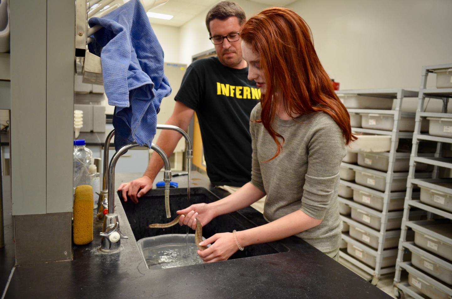 ASU Study Finds Animals Can Use Muscle as An Internal Water Source