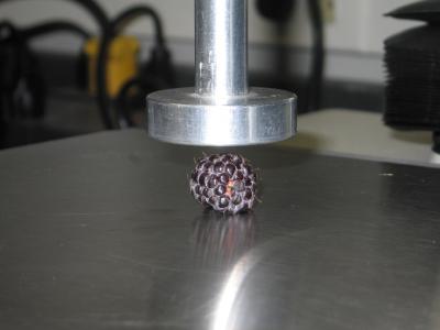 Increasing the Diversity of Marketable Raspberry Colors