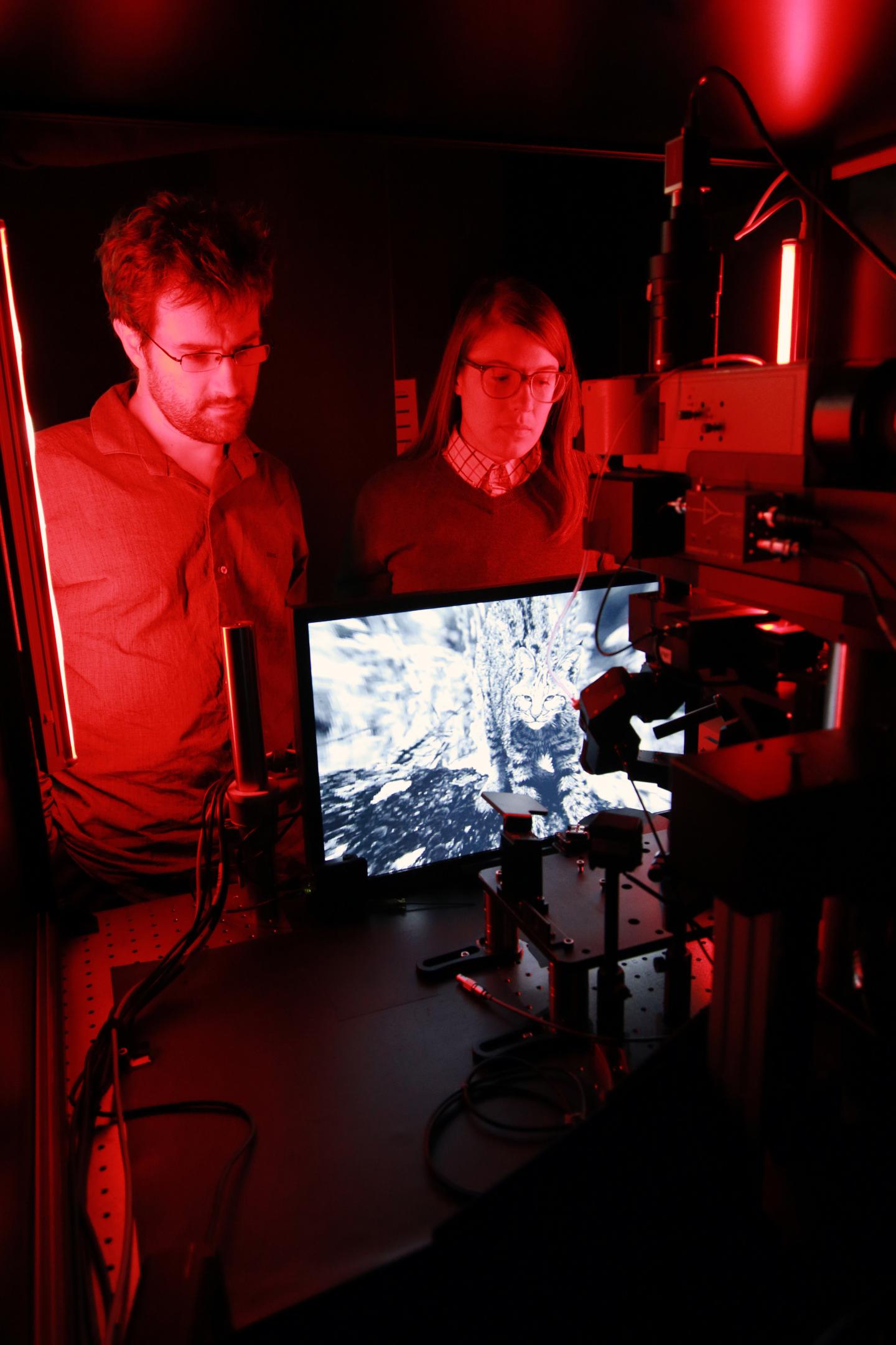 Allen Brain Observatory