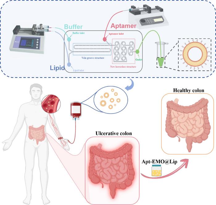 Schematic of the VGHM micromixer and targeted emodin liposome synthesis