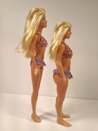 The 'Average Is Beautiful Doll'