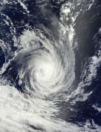 Terra Image of Bruce