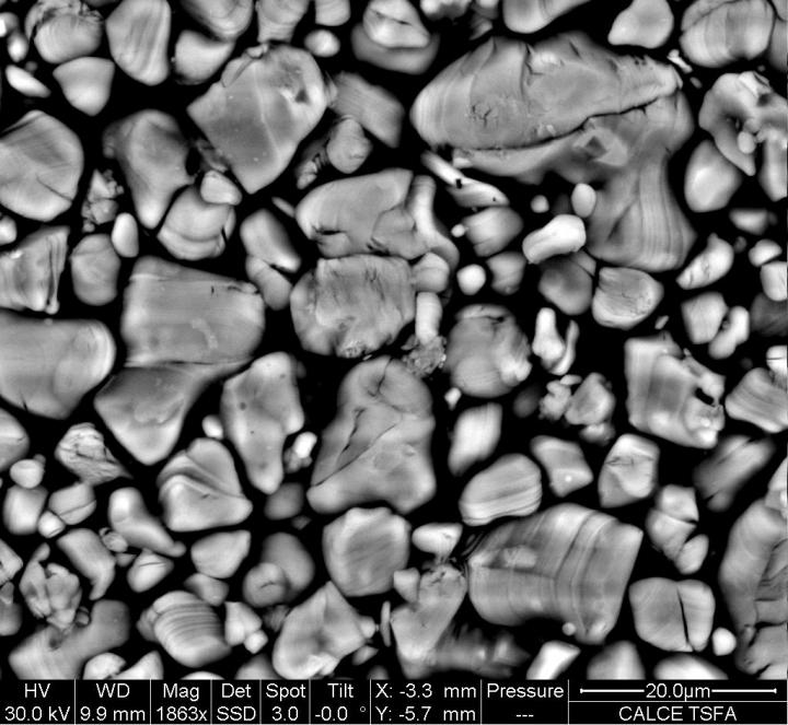 cathode of a battery