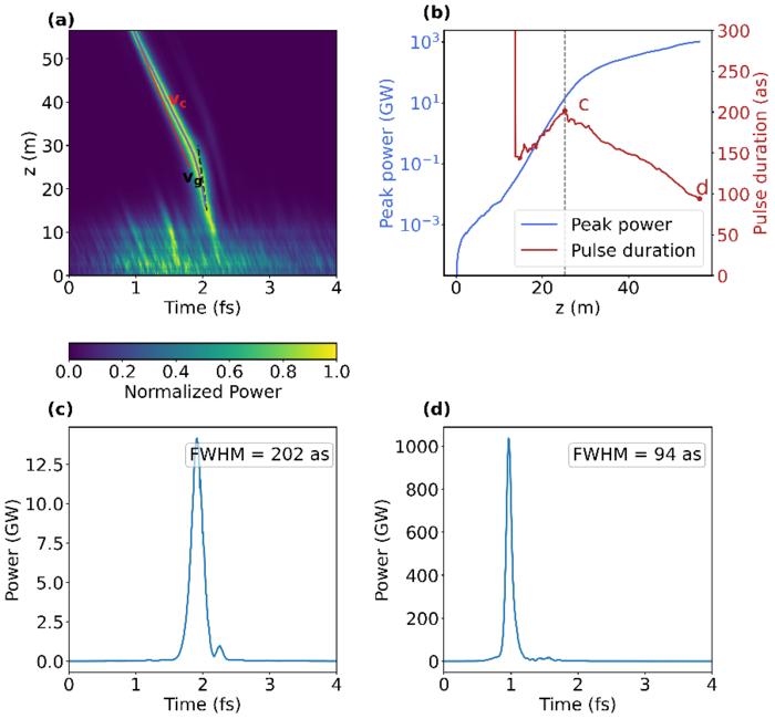 Fig.3 Superradiant emission in the post-saturation regime of attosecond XFEL radiation.