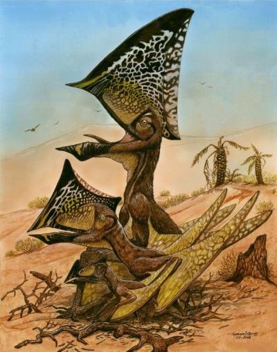 Pterosaur