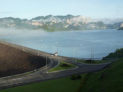 Fragmented Forests: More Harm Than Good? (2 of 8)