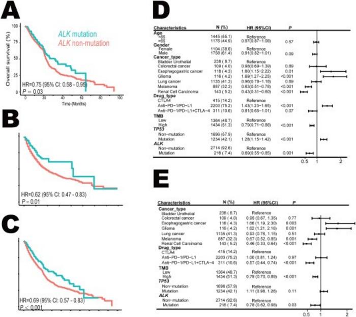 ALK mutation and overall survival (OS) in pan-cancer immune checkpoint blockade