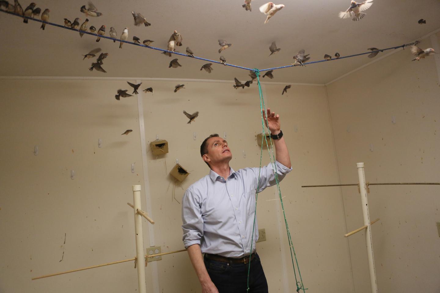 Bird Behavior