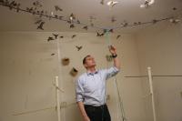 Bird Behavior