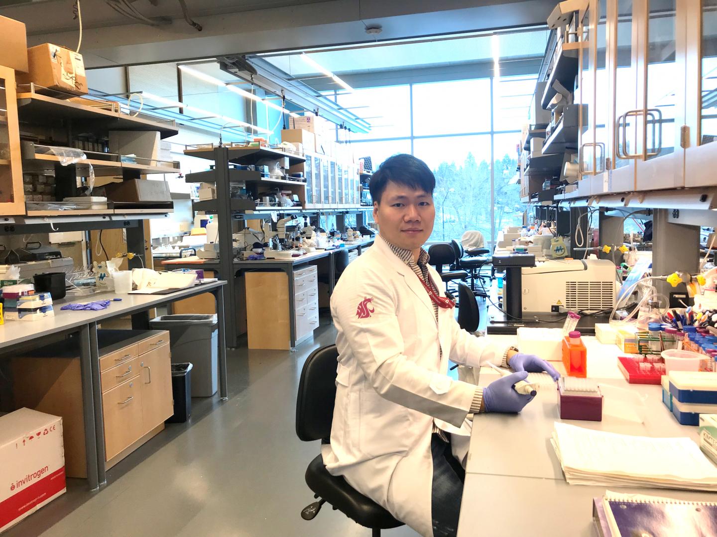 Jun Seok Son, Washington State University