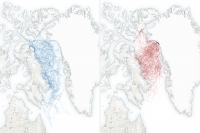 Polar Bear Movements