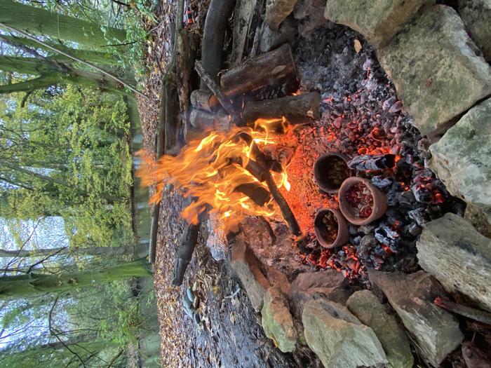 Selective culinary uses of plant foods by Northern and Eastern European hunter-gatherer-fishers
