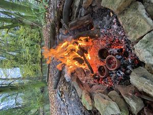 Selective culinary uses of plant foods by Northern and Eastern European hunter-gatherer-fishers