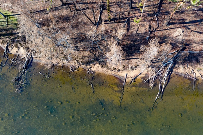 Ash, nutrients and metals in impacted estuaries