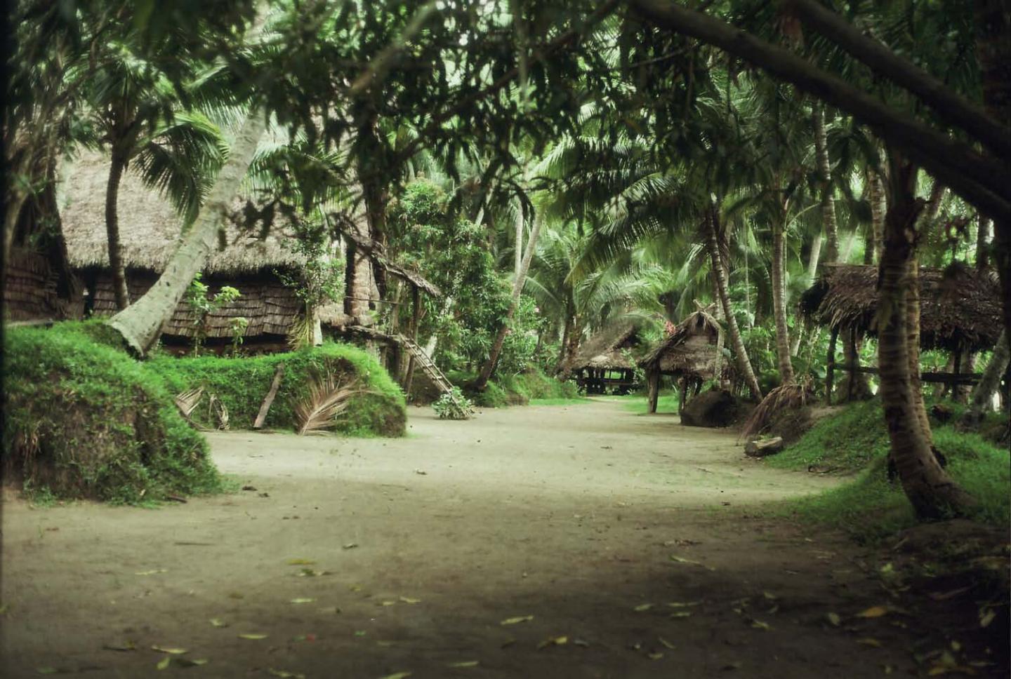 People in New Guinea Exhibit Great Genetic Diversity (2 of 3)
