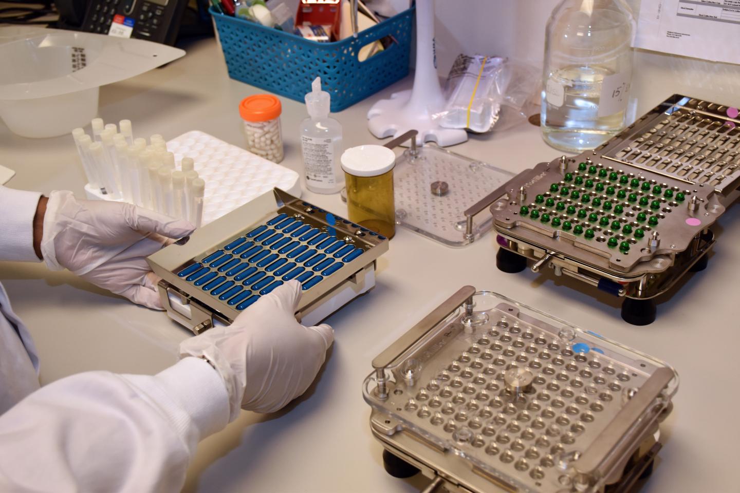 Fecal Transplant Capsules