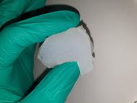 Biomimetic_tongue