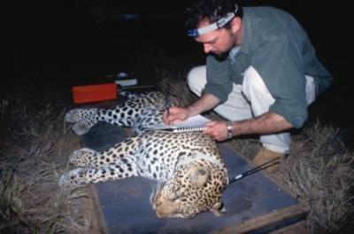 Dr. Luke Hunter, Panthera
