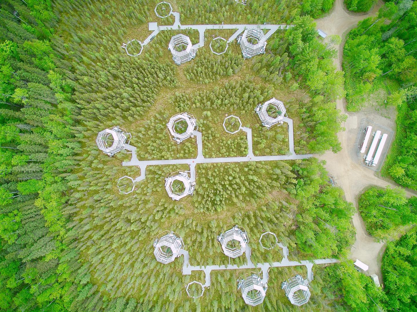 Scientists Record Rapid Carbon Loss from Warming Peatlands