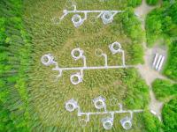 Scientists Record Rapid Carbon Loss from Warming Peatlands