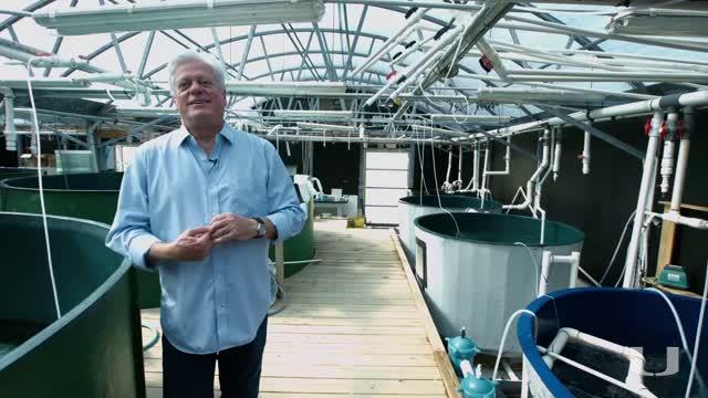 The Business of Aquaculture