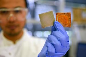 Dr Asep Nugraha corrosion coating 4