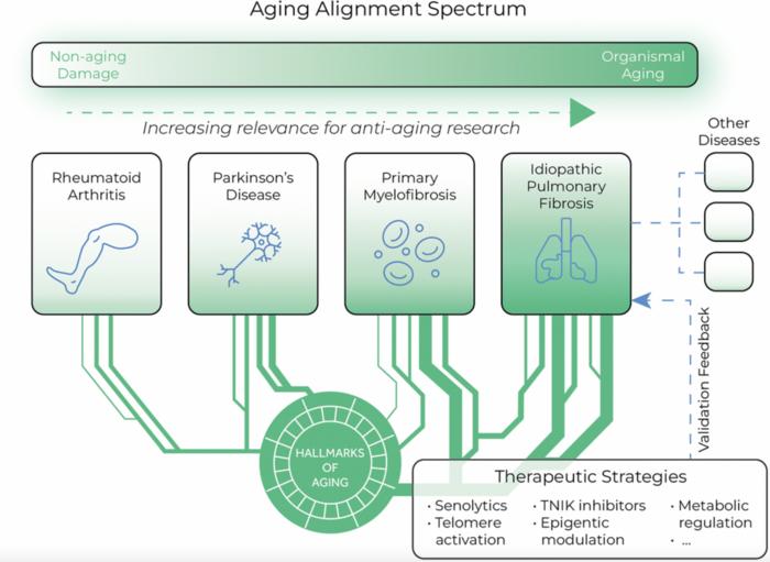 Age-related diseases as a testbed for anti-aging therapeutics: the case of idiopathic pulmonary fibrosis